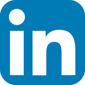 LinkedIn Icon squircle