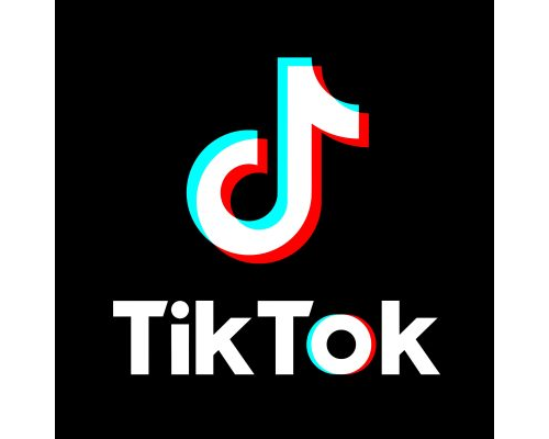 TikTok logo Tag